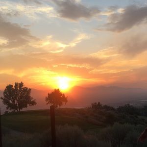 Meet your Posher, Katelyn